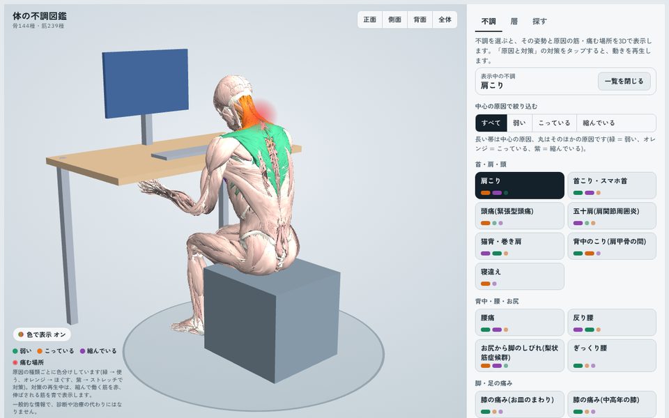 肩こりを選んだ画面。デスクワークで前かがみになる姿勢をくり返し、首と肩の筋がオレンジ、背中の筋が緑で表示されている