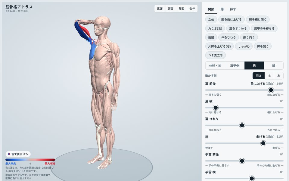 腕を前に上げて肘を曲げていく画面。縮む筋が赤、伸びる筋が青に変わっていく