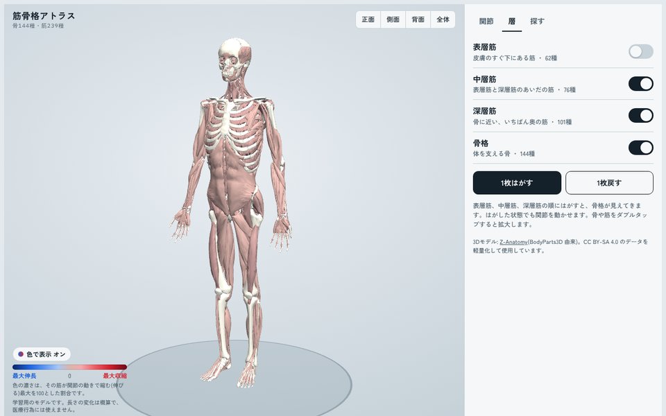層のタブで「1枚はがす」を3回押していく画面。表層筋、中層筋、深層筋の順に消えて、最後に骨格だけになる