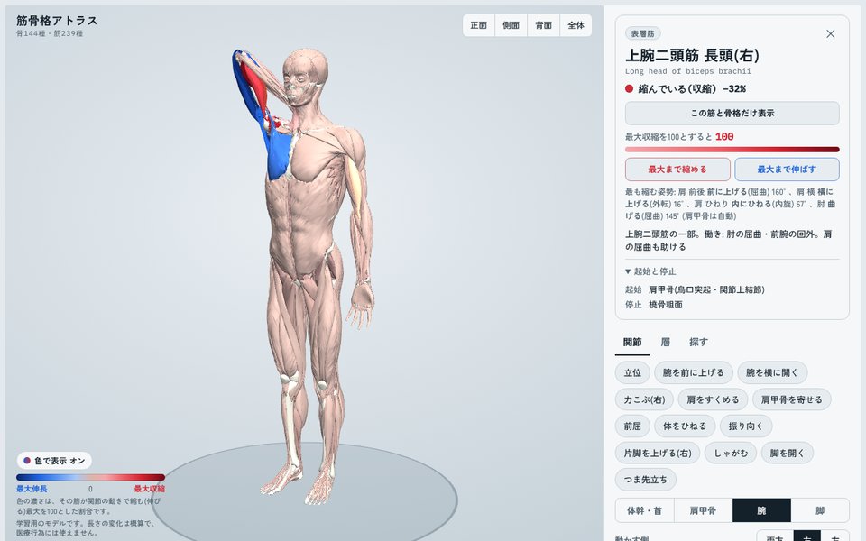 上腕二頭筋を選んで「最大まで縮める」を押し、肘と肩が自動で動いていく画面