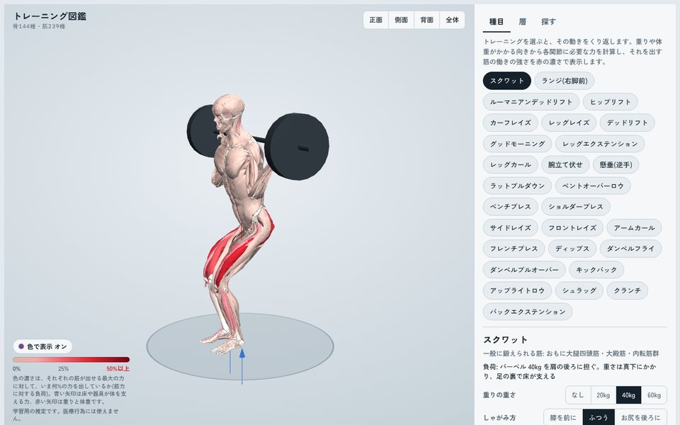 バーベルを担いだスクワットを再生している画面。立ち上がるにつれて太ももとお尻の筋の赤の濃さが変わり、右の一覧のバーも動く